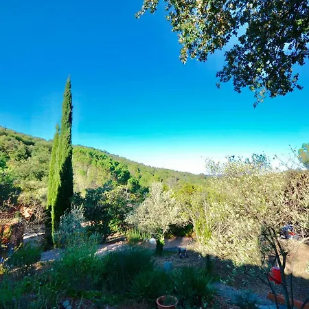 La Briardiere * Camélas