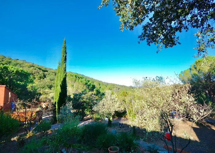 La Briardiere * Camélas